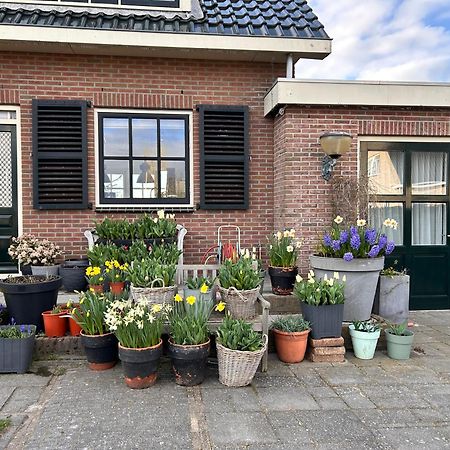 Flowerbed Voorhout Экстерьер фото