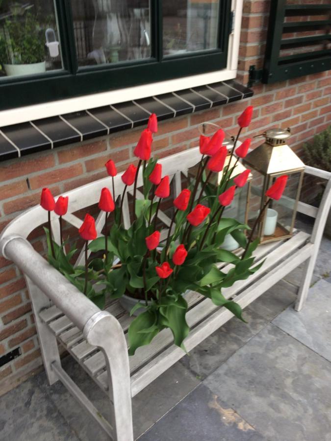 Flowerbed Voorhout Экстерьер фото