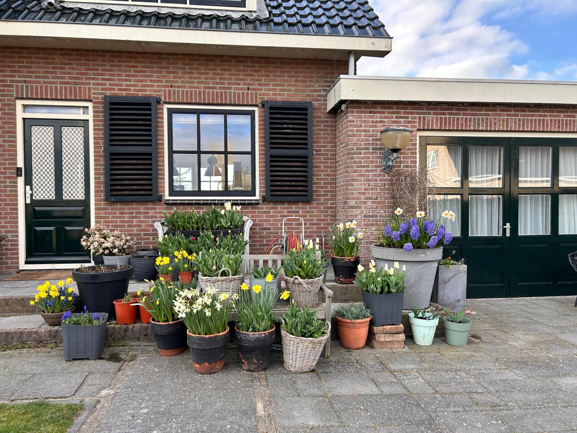 Flowerbed Voorhout Экстерьер фото