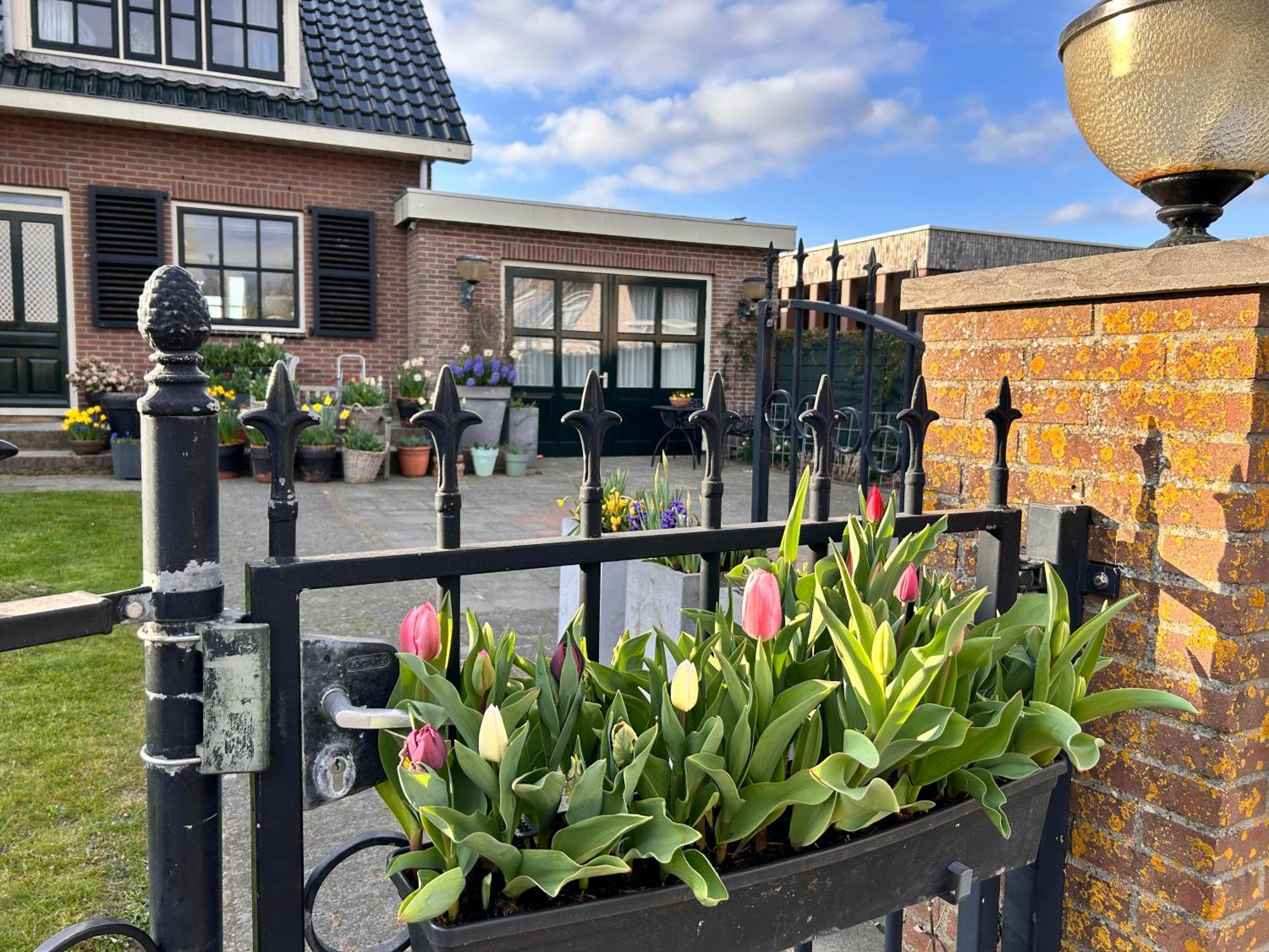 Flowerbed Voorhout Экстерьер фото